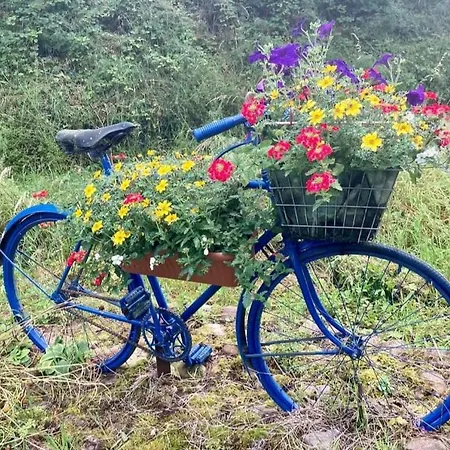 Kozy * واتيرفورد