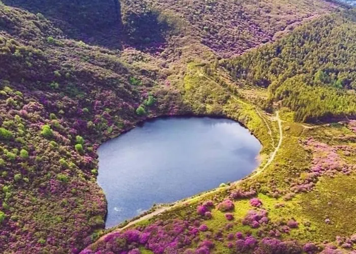 Kozy * ウォーターフォード