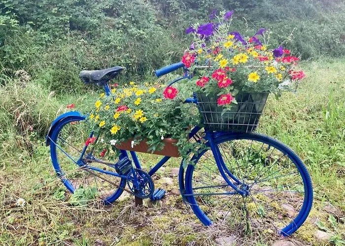 Kozy * ウォーターフォード